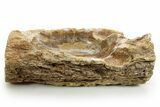 Polished Petrified Wood Soap Dish - Madagascar #378871-1